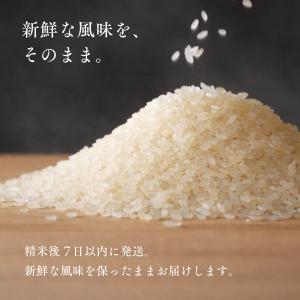 無洗米 北海道産 ゆめぴりか お試し 750g...の詳細画像4
