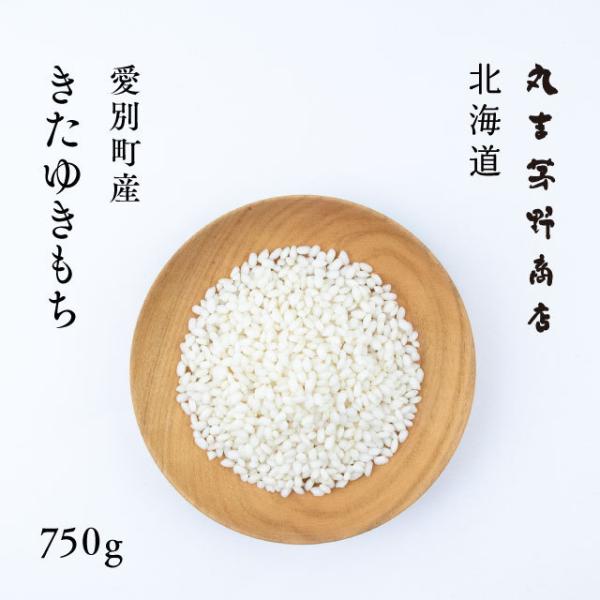 新米 北海道産 きたゆきもち 750g 5合 令和7年産 もち米 送料無料