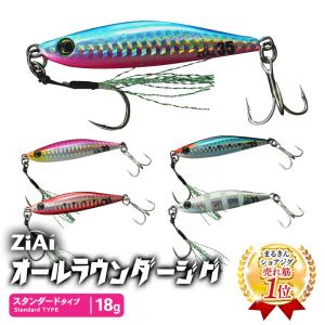 ZiAi オールラウンダージグ スタンダードタイプ 25g メタルジグ