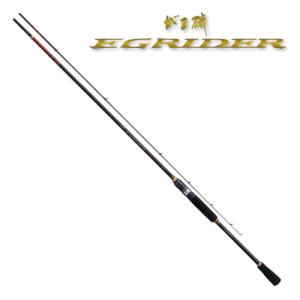 DAIWA（ダイワ） メガドライ 2-53 インターライン 磯 フカセ : つり具