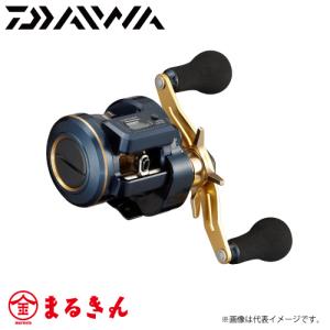 DAIWA（ダイワ） 【目玉商品】ダイワ ティエラLJ IC 200HL 左ハンドル