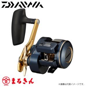 ダイワ 21 ソルティガIC　300H-SJ｜marukin-net