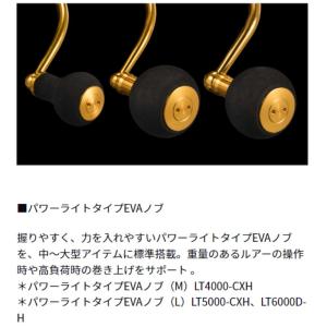 ダイワ 23レガリス LT2000S-P ライ...の詳細画像3