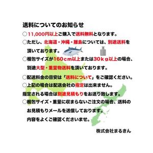 ダイワ 23レガリス LT2000S-P ライ...の詳細画像5