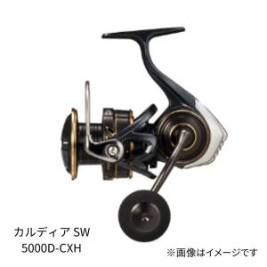 ダイワ 21カルディア LT3000-XH DAIWA リール スピニングリール ダイワ カルディア LT3000-XHをレビュー！クチコミ・評判をもとに徹底