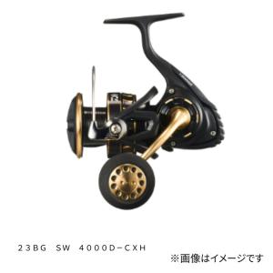 DAIWA（ダイワ） 【現品限り】 スピニングリール BG SW 14000-H 23年