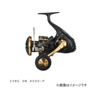 DAIWA（釣り） ダイワ スピニングリール カルディア SW 8000-P 23年