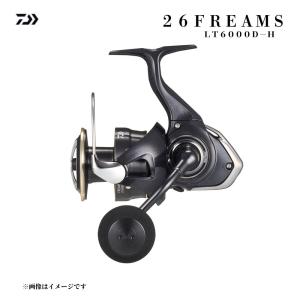 DAIWA（ダイワ） 【目玉商品】ダイワ 23 BG SW 6000D-H (2023年モデル