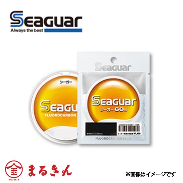 シーガー Seaguar 60ｍ 6号　ソルトウォーター フロロカーボン ハリス