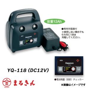 DAIWA（ダイワ） タフバッテリー 12000IV 船釣り用鉛バッテリー 電動