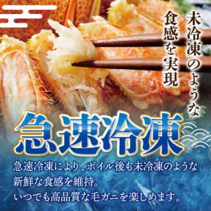 送料無料 岩手県北三陸産 ボイル 毛ガニ 約4...の詳細画像5