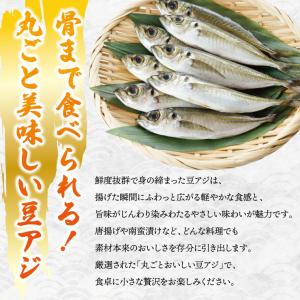 送料無料 岩手県産 冷凍 極鮮豆アジ5kg(1...の詳細画像2