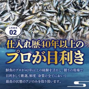 送料無料 岩手県産 冷凍 極鮮豆アジ5kg(1...の詳細画像4