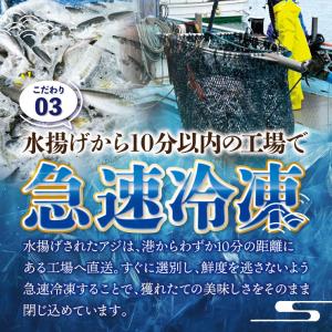 送料無料 岩手県産 冷凍 極鮮豆アジ5kg(1...の詳細画像5