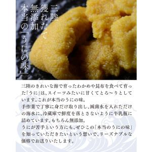 6月下旬〜7月上旬発送予定 送料無料 岩手県産...の詳細画像1