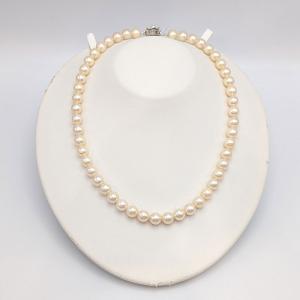 ペルリータ ミキモト パール 5.5mm リング シルバー925 指輪 11