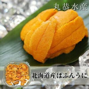 うに 北海道産 バフンウニ 塩水うに 自社製造 無添加 送料無料 200g(100g×2) お中元