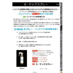 レターパックで送料無料!ホルムアルデヒド除去す...の詳細画像1