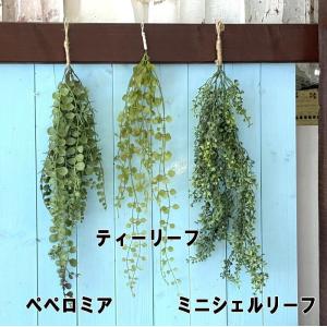 メール便で送料無料 吊り下げて癒しの空間を グ...の詳細画像1