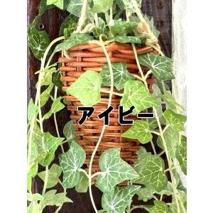 定形外郵便で送料無料 吊るして飾る 観葉植物 ...の詳細画像2