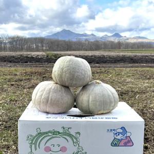 送料無料 訳あり 有機栽培品 かぼちゃ「月見」...の詳細画像1