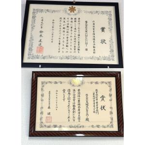 送料無料 訳あり 有機栽培品 かぼちゃ「月見」...の詳細画像3