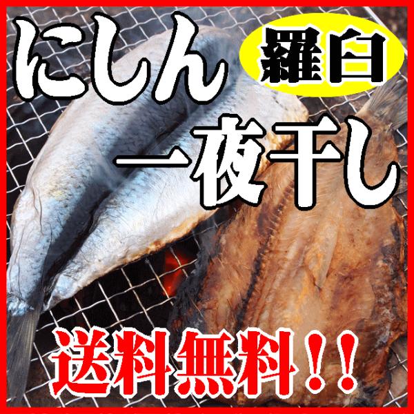 【送料無料】知床羅臼産！ニシン一夜干し！２枚入り×３パック！脂のり◎最高級にしんです。