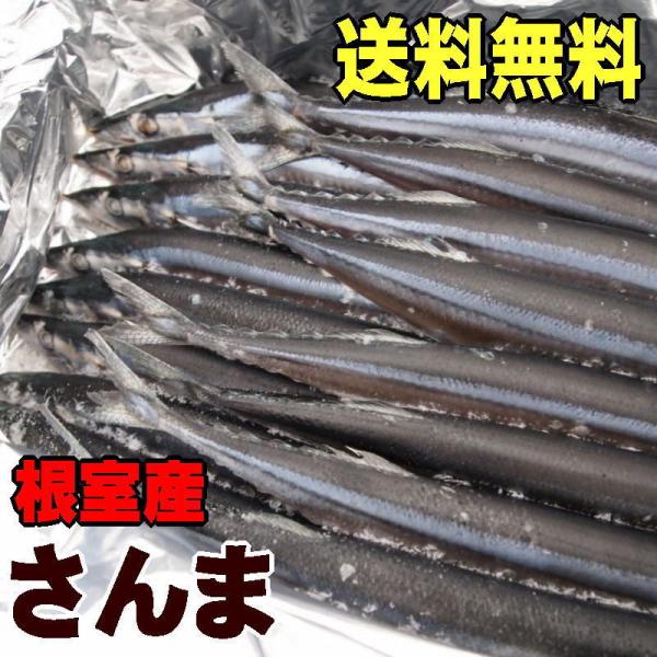 送料無料　北海道根室産　冷凍サンマ　約２kg 15〜20尾入り