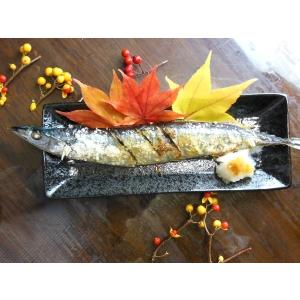 送料無料 北海道根室産 冷凍サンマ 約2kg ...の詳細画像3