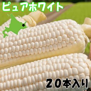 送料無料 知床産 朝採りピュアホワイト20本入り...の商品画像