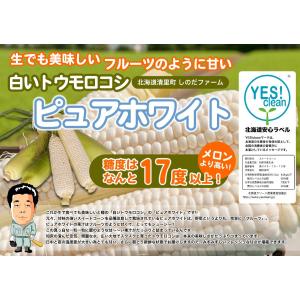 送料無料 知床産 朝採りピュアホワイト20本入...の詳細画像1