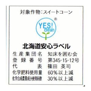 送料無料 知床産 朝採りピュアホワイト20本入...の詳細画像2