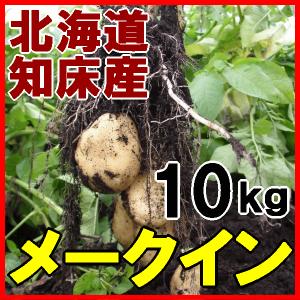 送料無料 越冬じゃがいも メークイン 10kg 北海道産 ジャガイモ 産地直送｜marukyo