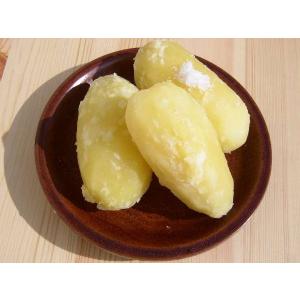 新じゃがいも レッドムーン 10kg 北海道産...の詳細画像3