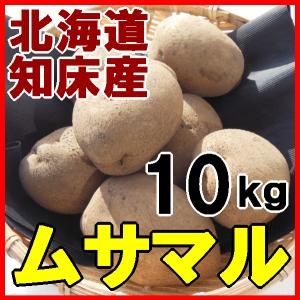 送料無料 越冬じゃがいも ムサマル 10kg 北海道産 ジャガイモ 産地直送