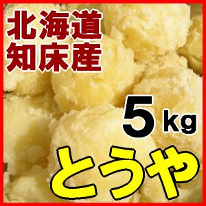 ジャガイモ とうや ５kg 越冬じゃがいも 北海道産 送料無料｜marukyo