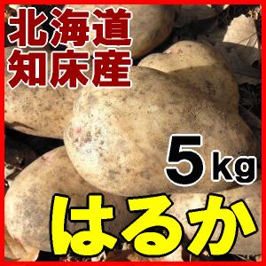 北海道産 越冬じゃがいも はるか ５kg ジャガイモ 産地直送 送料無料｜marukyo