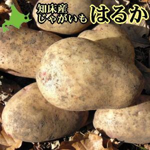 北海道産 新じゃがいも はるか 5kg ジャガイ...の商品画像