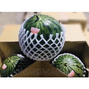 【送料無料】　ひとりじめすいか　小玉西瓜　3玉入　甘いスイカ　食べやすい　贈り物にもおすすめ　ギフト　手土産