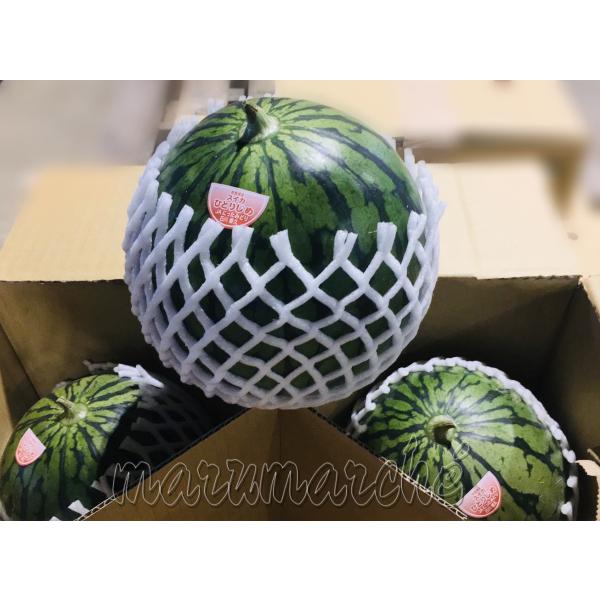 【送料無料】　ひとりじめすいか　小玉西瓜　3玉入　甘いスイカ　食べやすい　贈り物にもおすすめ　ギフト...