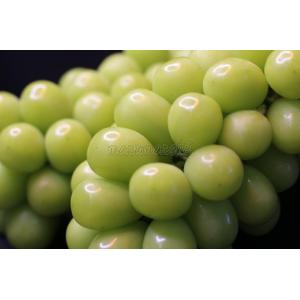 【再販！これが本当に最後の掲載！】シャインマスカット2房　1ｋｇアップ　種なし皮ごと食べれる　ご家庭用　ご褒美　お取り寄せ　送料無料（一部の地域除く）