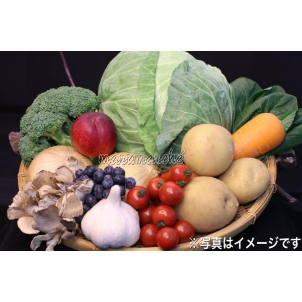免疫力アップ！　ミラクルフード　野菜　果物　新鮮　健康志向　野菜果物詰め合わせ　（季節によりクール便...