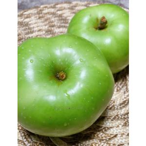 【今年も販売開始】大人気　調理用りんごブラムリー3kgアップ　青りんご　ジュレ　ジャム　時短　簡単　りんごケーキ　珍しい品種　小布施　信州　長野県