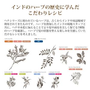naiad ヘナ100% 100g 白髪染め ...の詳細画像5