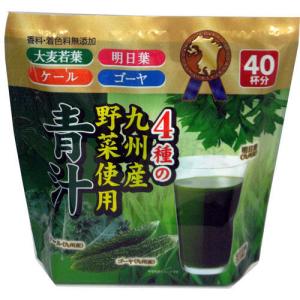 ☆新品 スリムビューティハウス エンザイム フローラ 発酵 エステ
