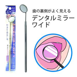 デンタルミラー ワイド 一般医療機器 口腔 拡大鏡 大きな鏡 オーラルケア 虫歯予防 歯科 歯医者さんが使う