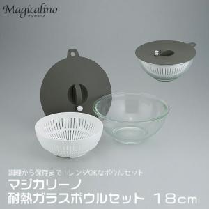 イシガキ イシガキ産業 耐熱ボウル シリコン蓋 プラスチックザル