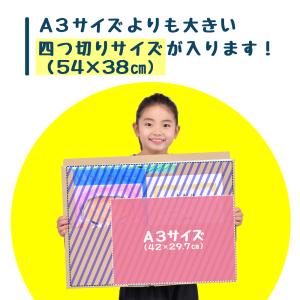 折らずにしまえる メモリーストッカー 2柄組 ...の詳細画像5