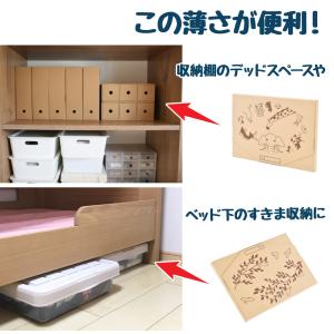 折らずにしまえる メモリーストッカー 2柄組 ...の詳細画像4