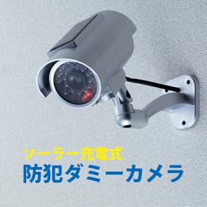キャロットシステムズ 有線タイプ 全天候型小型防水カラーカメラ（映像